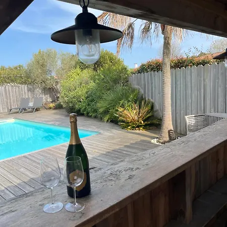 Paloma Au Coeur Du Bassin D'arcachon